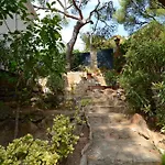Pic De L'ocell * Begur